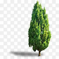 绿树英语培训图片-空若网 绿树英语培训图片-空若网