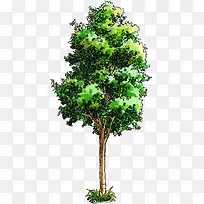 �ֻ�����ߴ�����-������