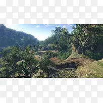 清新户外绿树创意-空若网 清新户外绿树创意-空若网