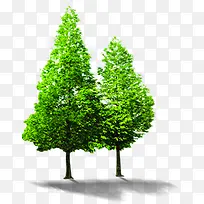 绿树洁净夏日招聘-空若网 绿树洁净夏日招聘-空若网