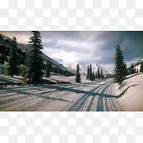 道路植物辽阔绿树-空若网 道路植物辽阔绿树-空若网