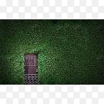 绿树围绕浓密房屋-空若网 绿树围绕浓密房屋-空若网