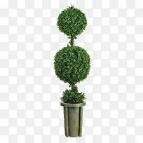 绿色清新植物绿树-空若网 绿色清新植物绿树-空若网