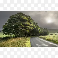 �����ܲ��µ�����-������