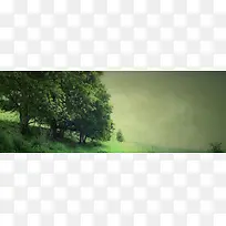 绿树-空若网 绿树-空若网