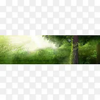 绿树草地背景图-空若网 绿树草地背景图-空若网
