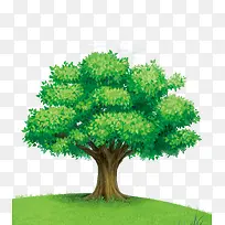 ï�������ֻ�-������