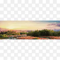 黄昏绿树背景-空若网 黄昏绿树背景-空若网