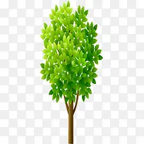 ��ͨ������ɫ����-������