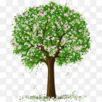 ��ɫ��������-������