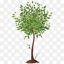 ���������쿨ͨ��-������