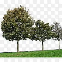 ������������-������