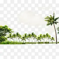 �ֵ�������̲-������