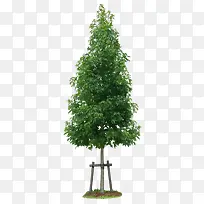 ������԰����ľ̤������-������