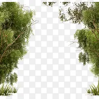 绿树夹道 png素材-空若网 绿树夹道 png素材-空若网