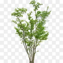 Ұ������png�ز�-������