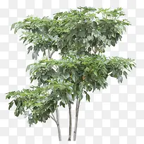 ����-������