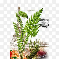 植物铁塔-空若网 植物铁塔-空若网