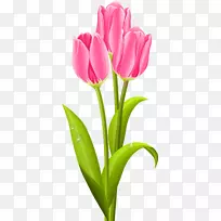 郁金香花束夹艺术-郁金香-空若网 郁金香花束夹艺术-郁金香-空若网