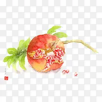 手绘水果-空若网 手绘水果-空若网