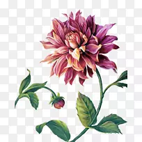 书画纸剪纸花画-空若网 书画纸剪纸花画-空若网