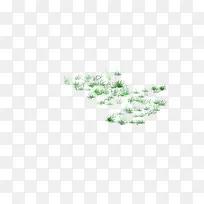 绿草草坪-空若网 绿草草坪-空若网