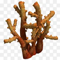 黄色海草-空若网 黄色海草-空若网