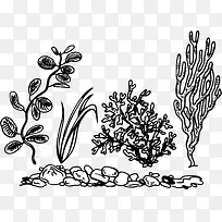 手绘 海底生物-空若网 手绘 海底生物-空若网