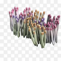 彩色海草-空若网 彩色海草-空若网