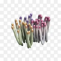 海草-空若网 海草-空若网