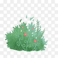 海草-空若网 海草-空若网