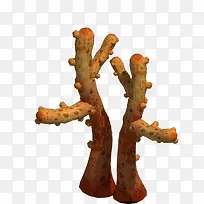 ����ֲ��-������