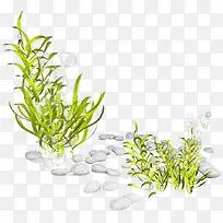 海草-空若网 海草-空若网