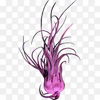 海底生物素材-空若网 海底生物素材-空若网