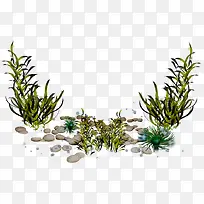 º£²Ý-¿ÕÈôÍø º£²Ý-¿ÕÈôÍø