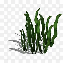 绿海草-空若网 绿海草-空若网