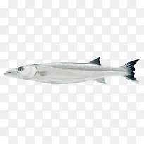 卡通手绘剑鱼-空若网 卡通手绘剑鱼-空若网