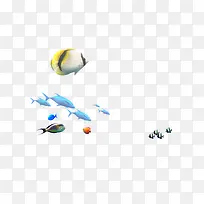 �����ɫ��������-������