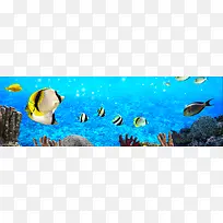 海底背景-空若网 海底背景-空若网