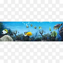 º£µ×±³¾°-¿ÕÈôÍø º£µ×±³¾°-¿ÕÈôÍø