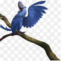 ����-������