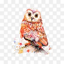 手绘猫头鹰-空若网 手绘猫头鹰-空若网