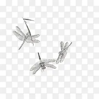 手绘昆虫蜻蜓效果图-空若网 手绘昆虫蜻蜓效果图-空若网