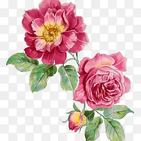 设计卡通花朵设计效果-空若网 设计卡通花朵设计效果-空若网