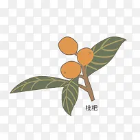 矢量卡通简洁扁平化枇杷-空若网 矢量卡通简洁扁平化枇杷-空若网