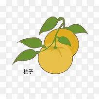 矢量卡通简洁扁平化柚子-空若网 矢量卡通简洁扁平化柚子-空若网