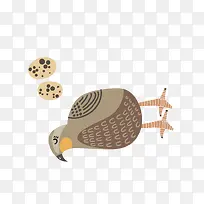 扁平化卡通小动物鹌鹑-空若网 扁平化卡通小动物鹌鹑-空若网