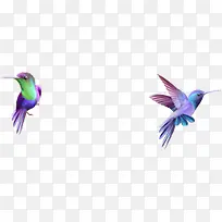 小鸟飞翔可爱唯美-空若网 小鸟飞翔可爱唯美-空若网