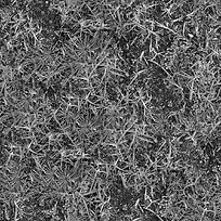 黑白草地背景-空若网 黑白草地背景-空若网