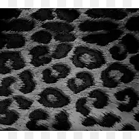 �ڰױ��Ʊ���-������